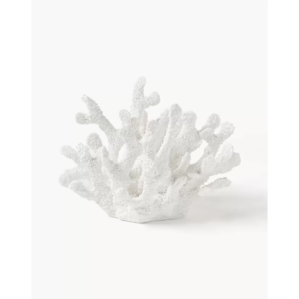 * Design Decoratief Object Coral- Decoratieve Objecten