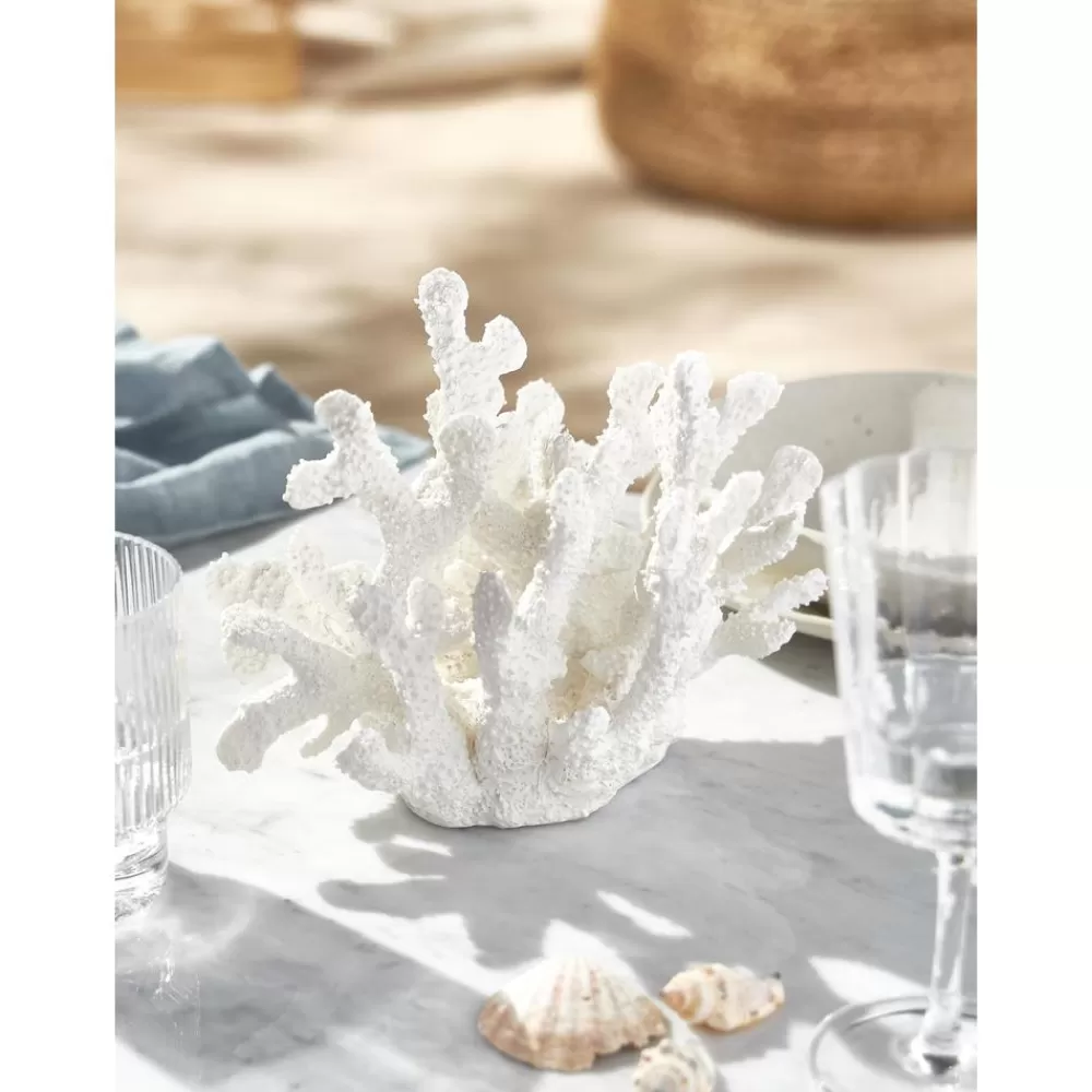 * Design Decoratief Object Coral- Decoratieve Objecten